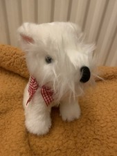 Westie Highland Terrier White