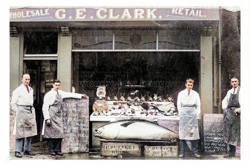 Ptc1392 yorkshire giant - -,