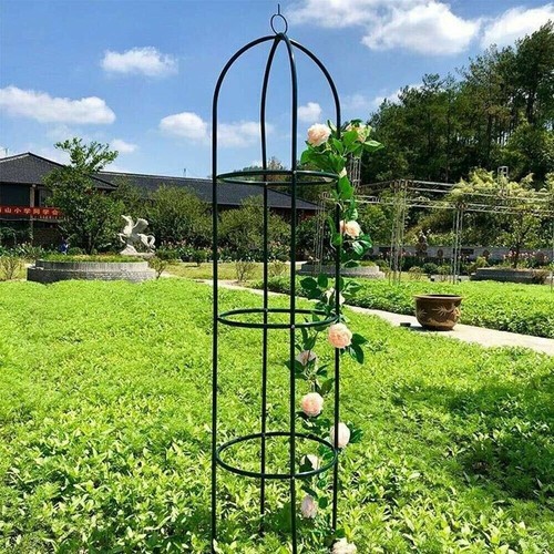 Metal garden obelisk climbing - garden,