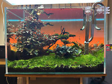 Complete Fully Automated Aquascaping Aquarium Setup – Thriving & Ready to Go