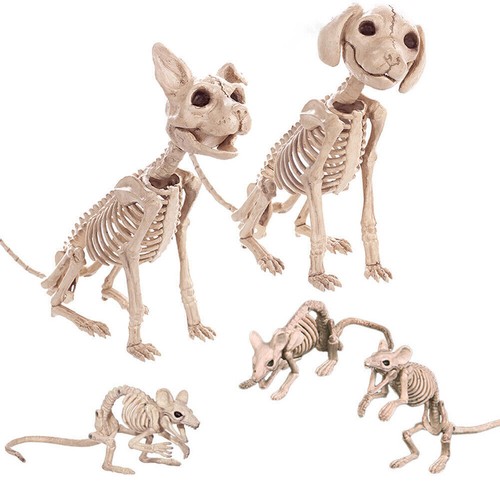Horror skeleton crow - , rat