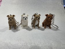 Staffordshire Bull Terrier pet