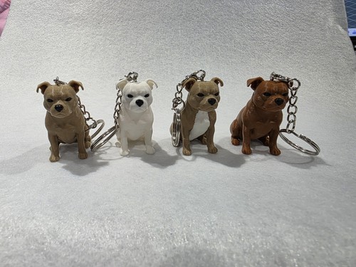 Staffordshire bull terrier pet - staffordshire,