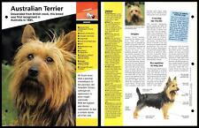 Australian Terrier - Breed - Dogs Of The World Atlas Fact File Card