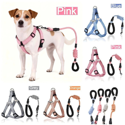 Adjustable dog harness step - harness,