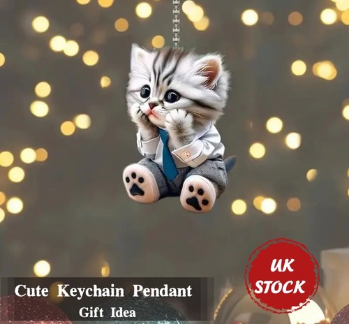 Adorable cat kitten - adorable,
