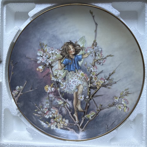 Flower fairies the blackthorn - fairies,