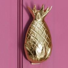 Polished Brass Pineapple Door