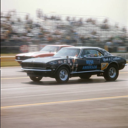 Rose anderson super stock - rose,