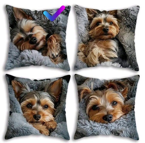 Yorkshire terrier puppy dog - terrier,