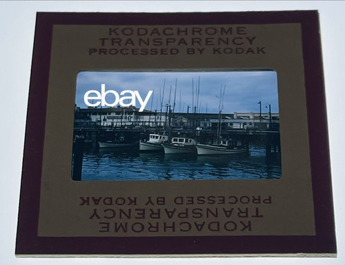 1956 fisherman wharf - fisherman's, fishing