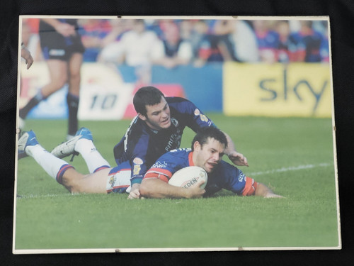 Wakefield wildcats large - wakefield,