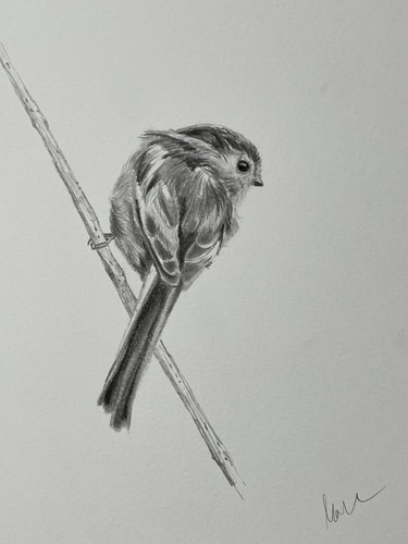 Original signed graphite - original,