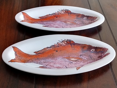 Vintage pair mutton snapper - mutton,