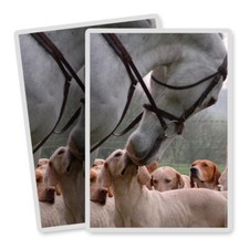 2x Vertical Vinyl Stickers