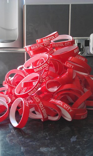 Bristol city football - bristol, club
