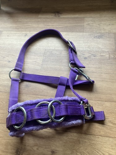 Lunge cavesson purple pony - purple,