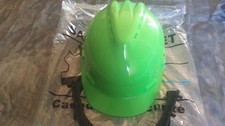 Forestry Safety Helmet