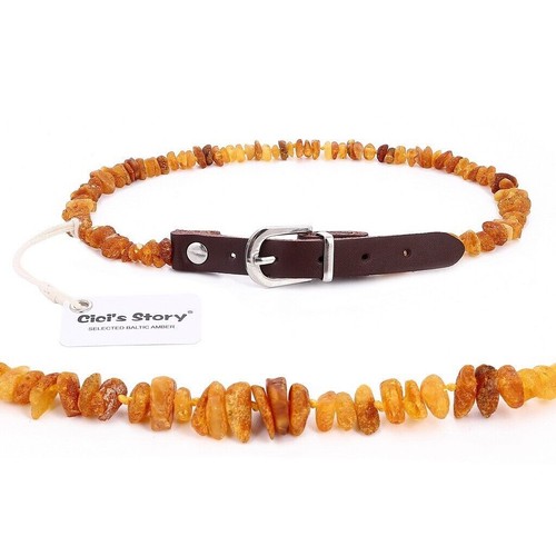 Amber collar for dogs and - dogs,
