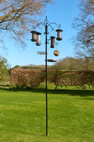 Harvest bird feeding station - harvest,