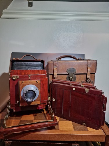 Thornton pickard royal ruby - royal,