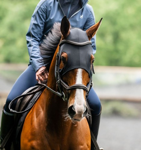Horseware ionic therapy - horseware,