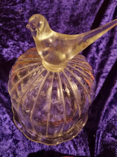 Beautiful glass domed - , cloche