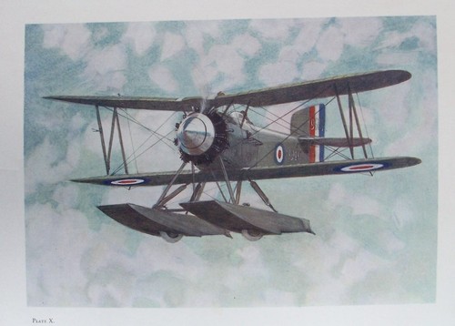 Old print fairey - old,