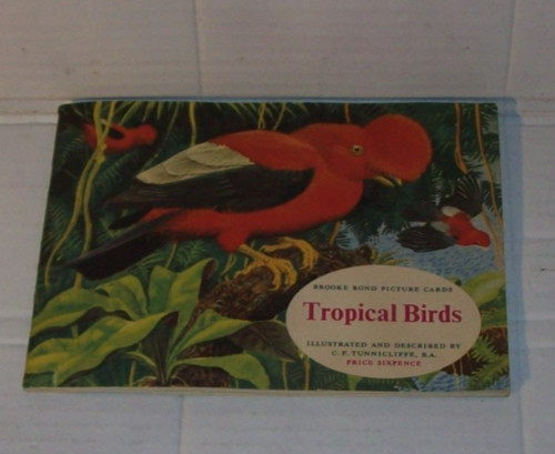 Tropical birds complete set - birds, of