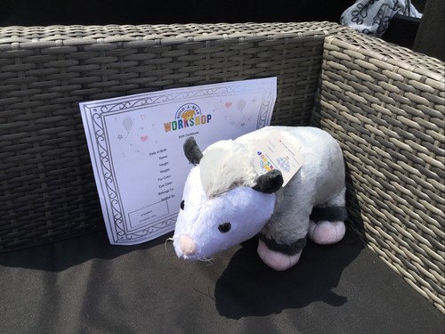 Build bear opossum - build, new
