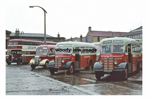 Pt7435 macbraynes buses in - pt7435,