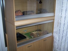 VIVARIUMS more pictures added.