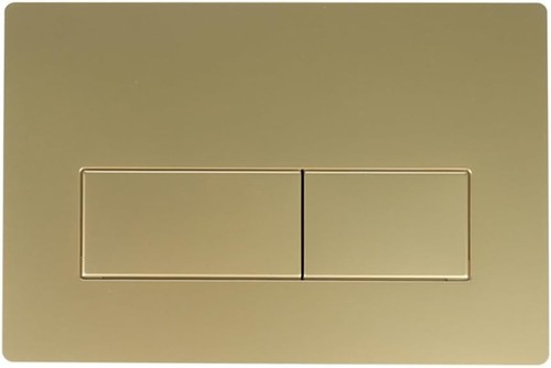 Toilet dual flush plate - toilet,