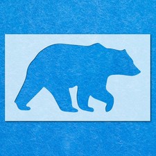 Bear Wild Forest Mammal