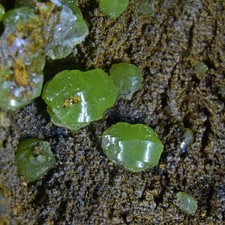 Pyromorphite  - Roughton Gill