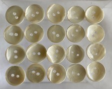 Mother of Pearl Buttons x 24 2