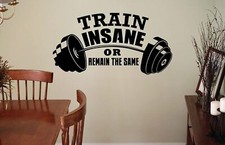 Fitness Train Insane Gym