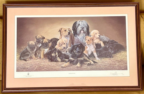 Nigel hemming dog - hemming, print