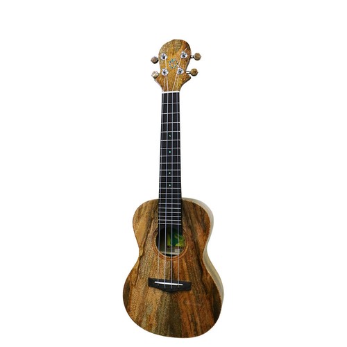 Big island cts concert - big,
