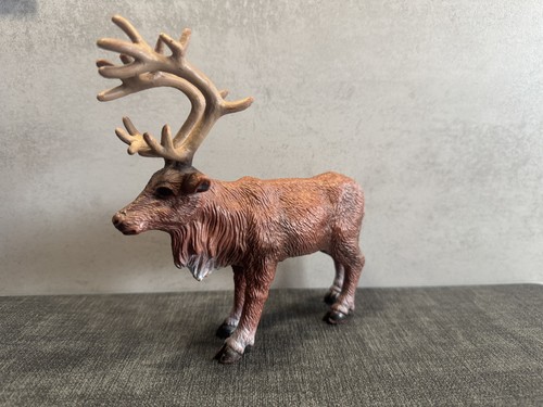 Aaa elc reindeer wildlife - aaa,