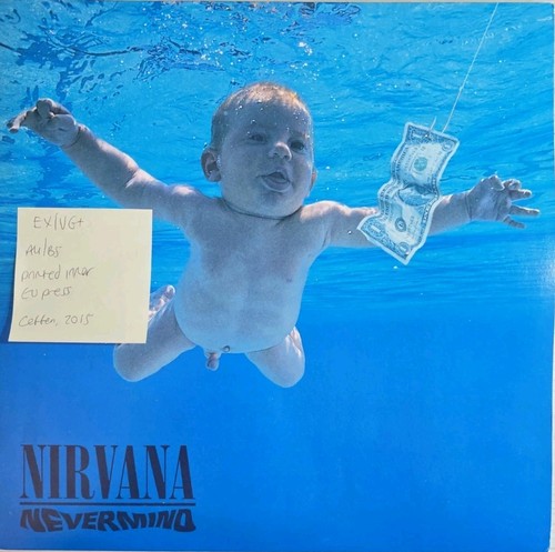 Nirvana nevermind vinyl record - vinyl,