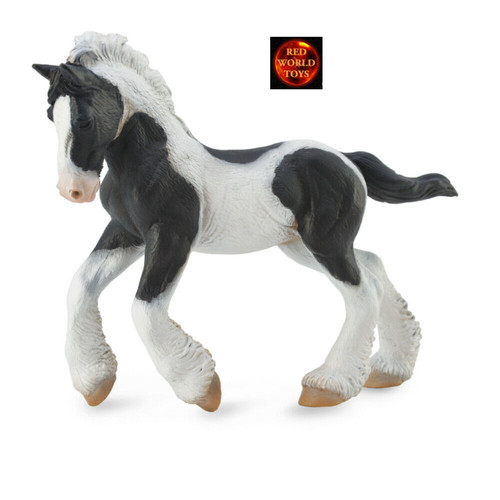 Gypsy foal black - gypsy, white