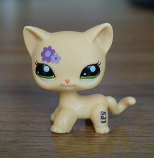 2'' Beige Cat Purple Flower