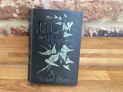 Vintage field and hedgerow - field, by