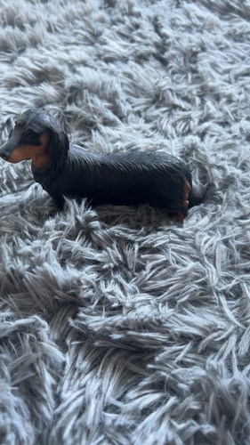 Dachshund dog ornament - dog,