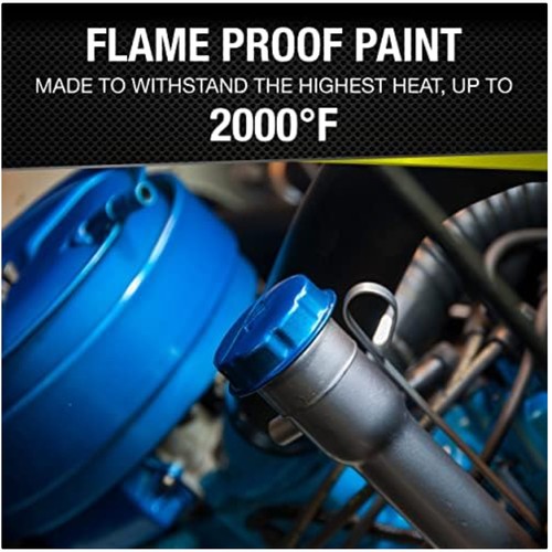 Brake caliper paint - caliper,