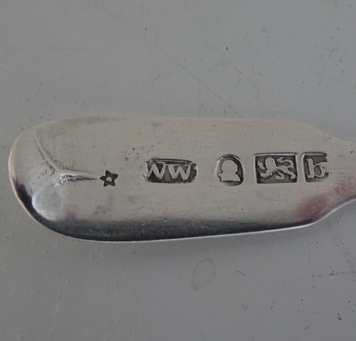 Fiddle salt spoon william - salt, spoon.