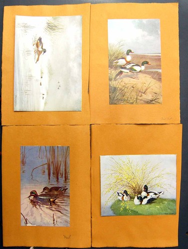 Original old antique - old, print