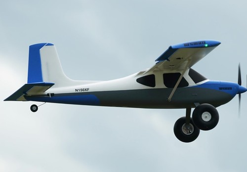 Xfly tasman bush - bush, blue