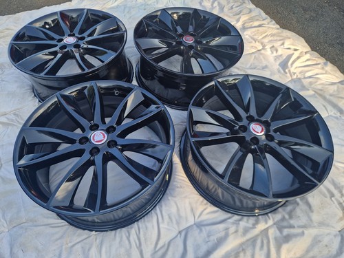 Genuine rare jaguar - rare,